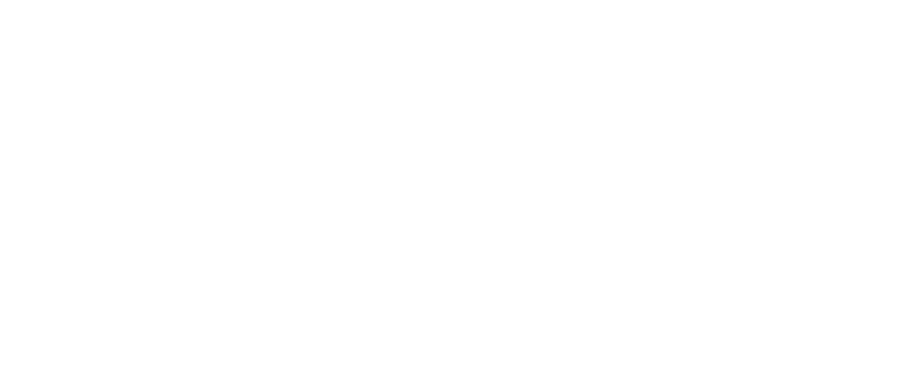 Best Arctic Logo white version