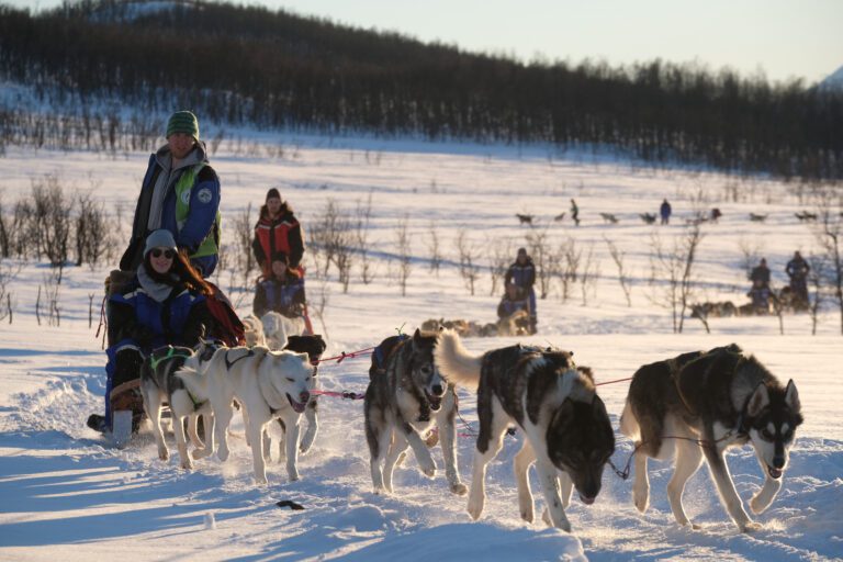 People doing dog sledding with Best Arctic in Northern Norway