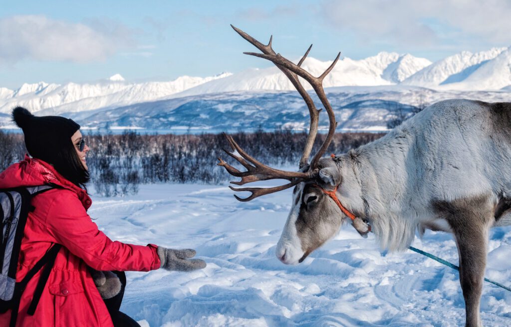 Top 10 best things to do in Tromsø during the winter