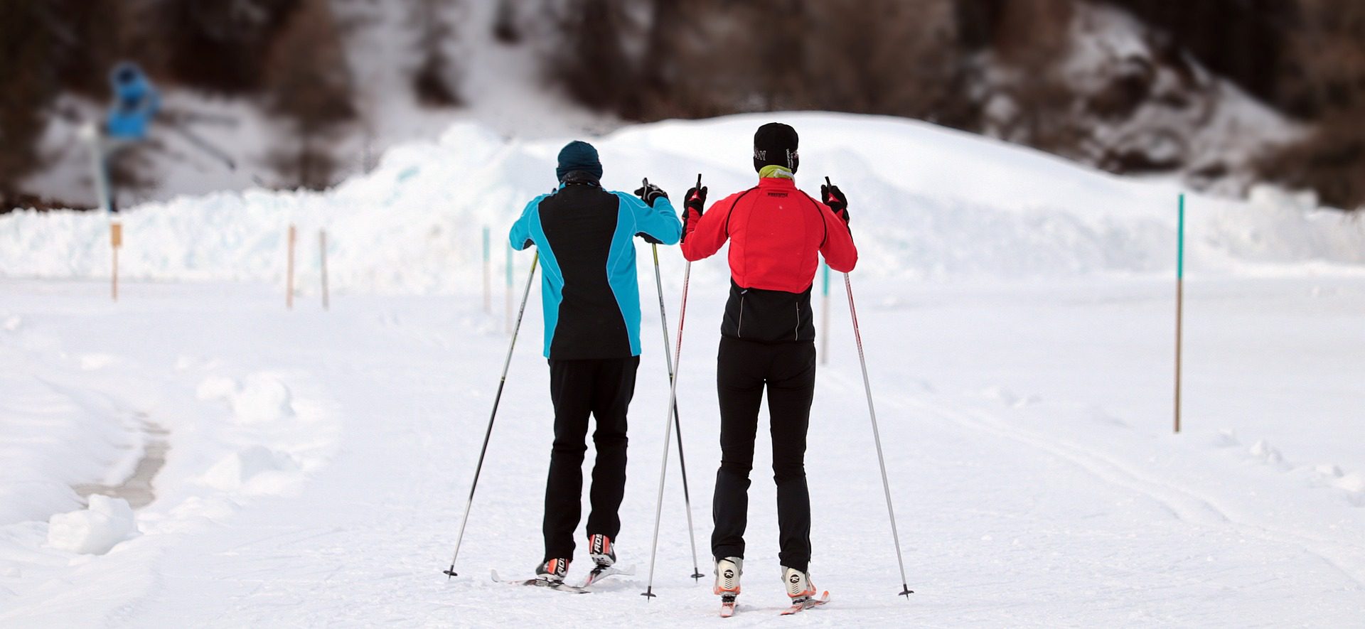 Picture of two people doing cross-country skiing taken from the back with snow on the background
