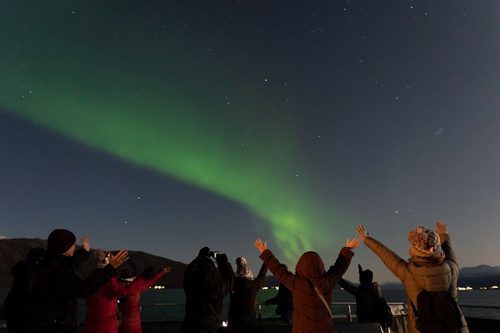 Best Arctic delivers high-quality, Varde-certified tours in Northern Norway