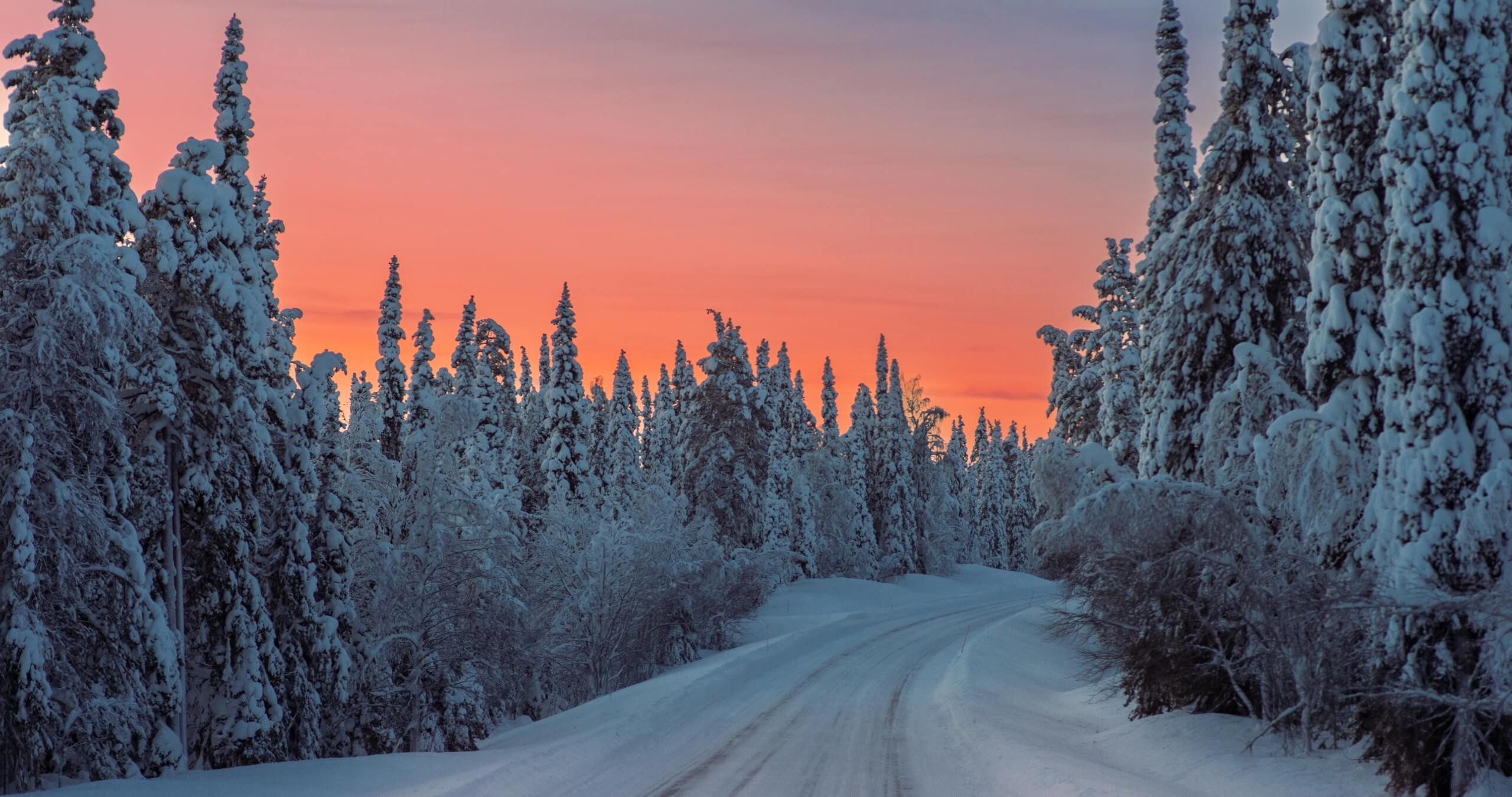 Paolo_Cirina_Arctic_Route101-View-of-Road-Finland@2x
