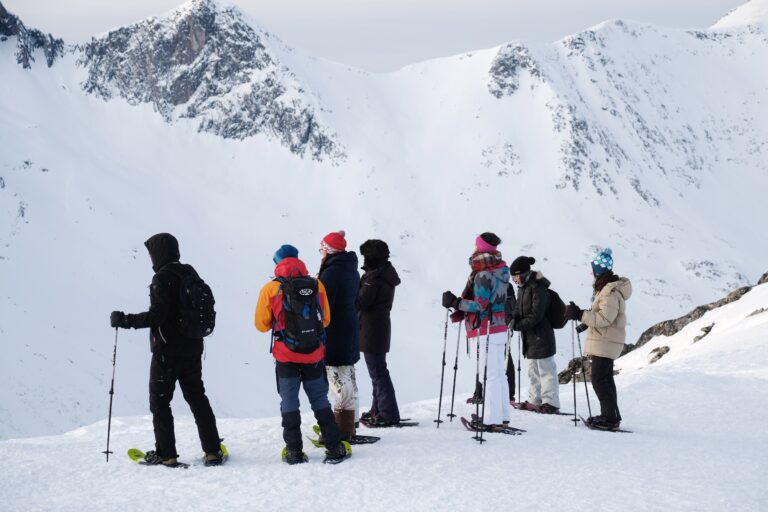 Guided snowshoe trip in Kvaløya