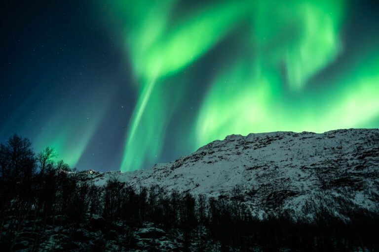 Northern light picture taken in Tromsø by Best Arctic