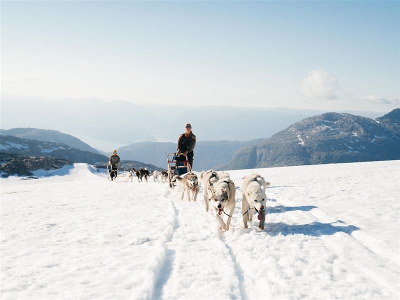 Exclusive Winter Escape: Small Group Husky Tour