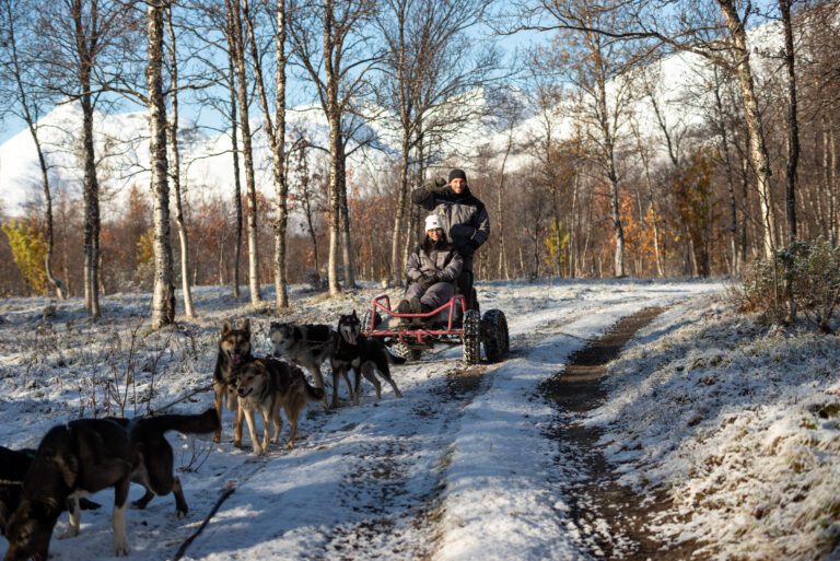 Dog Sledding with Carts_photos by Enrico Tedeschi