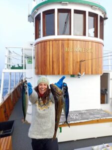 Fishing tours from Tromsø in winter