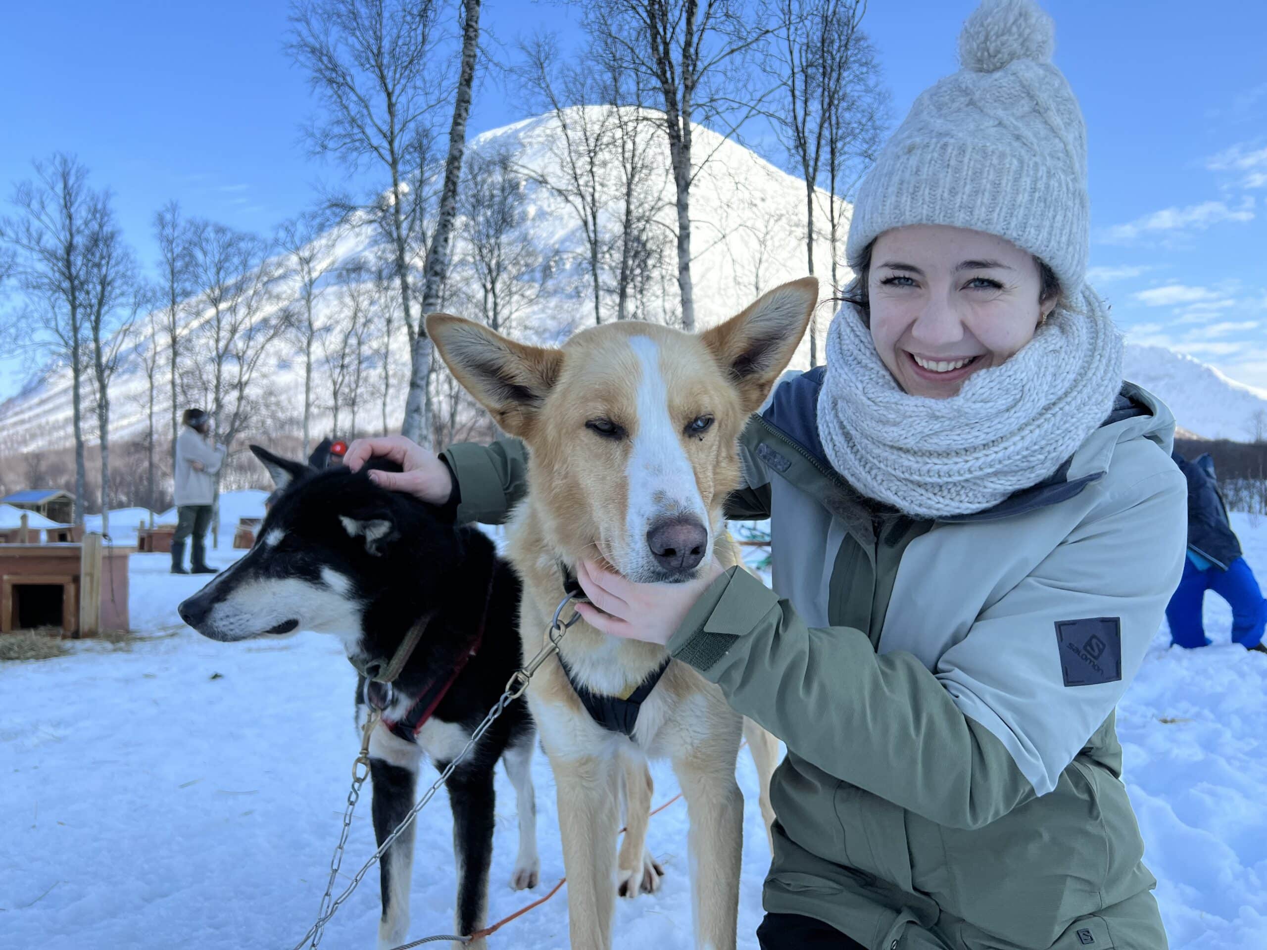 Husky Safari with Harkinn Husky