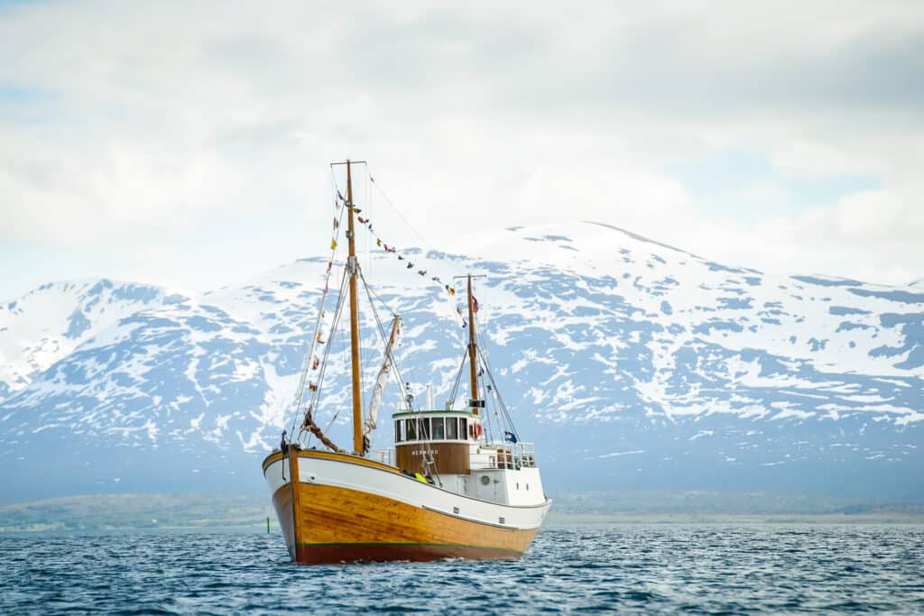 Fjord & History Cruise