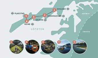 Best of Lofoten in 1 day