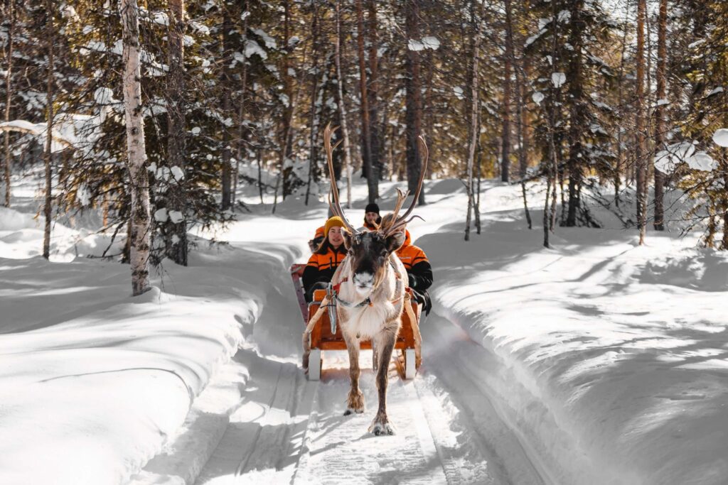 Along the reindeer path