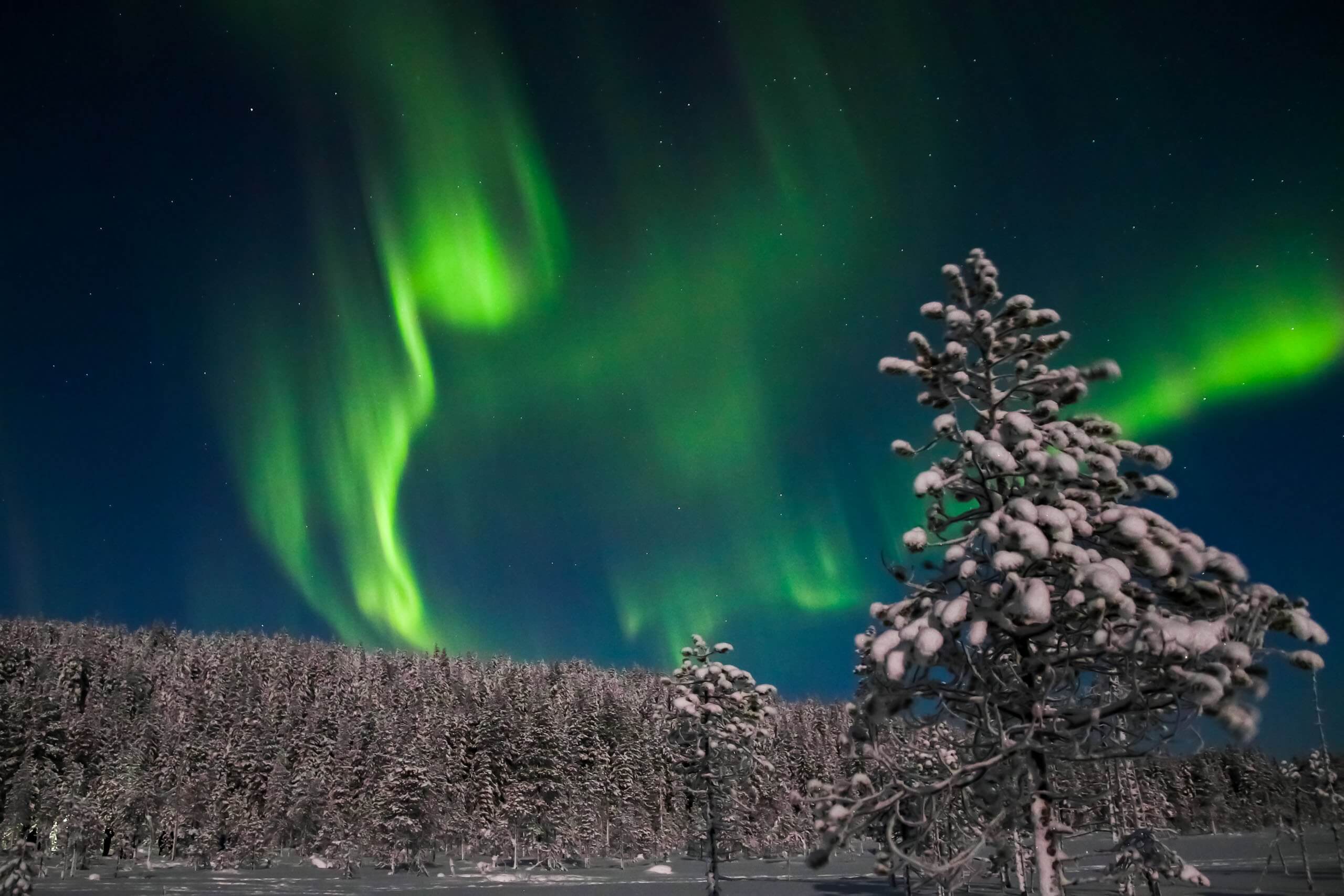 Aurora Hunting Photo Tour