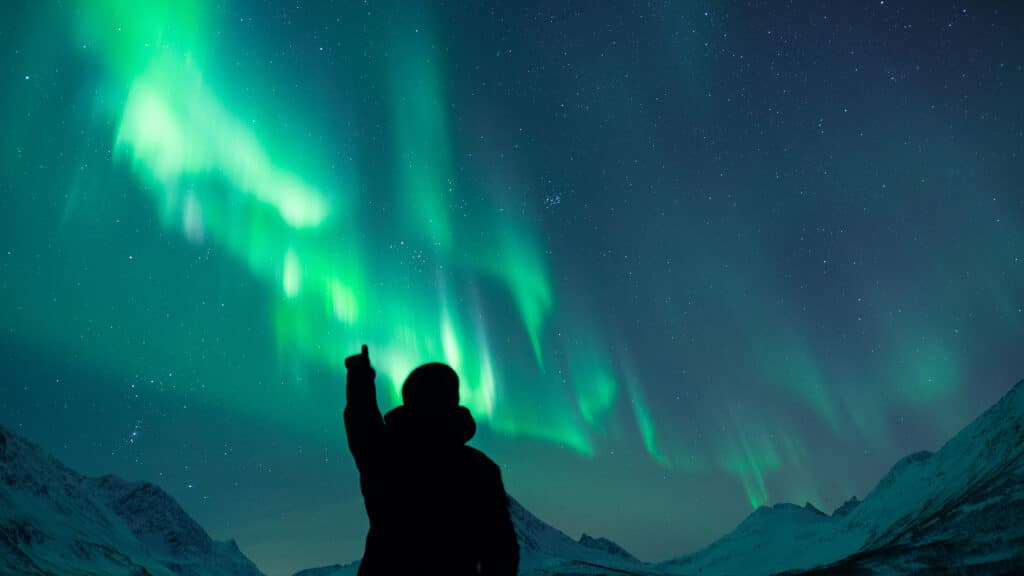 Private Aurora Safari Minibus