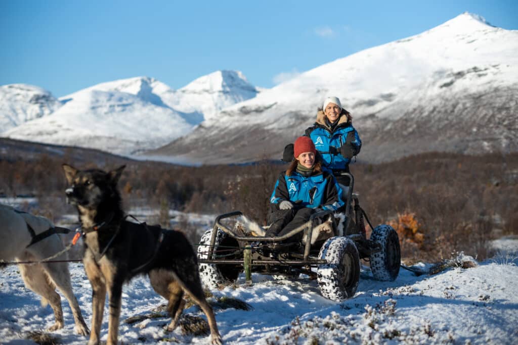Dog Sledding with Carts