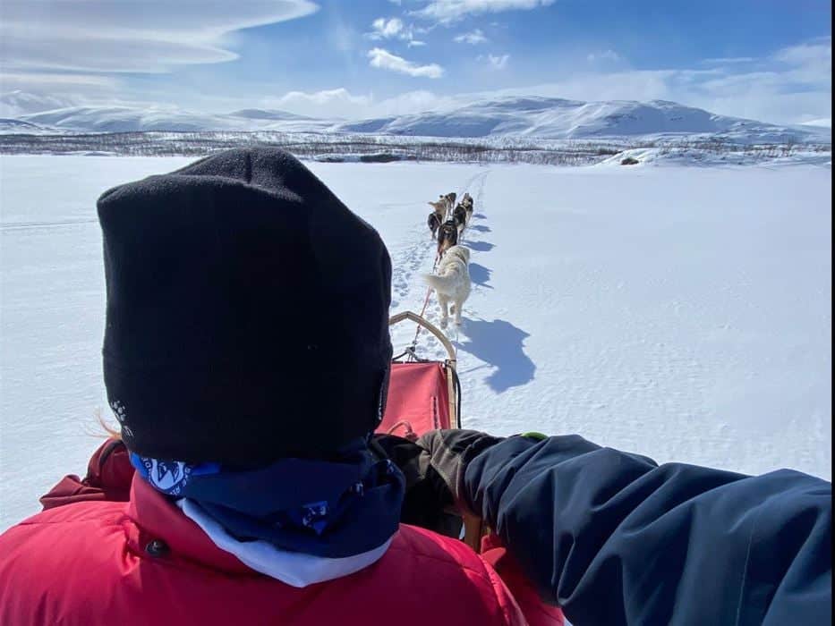 Dog sledding in Arctic nature, from Tromsø – Tour 1