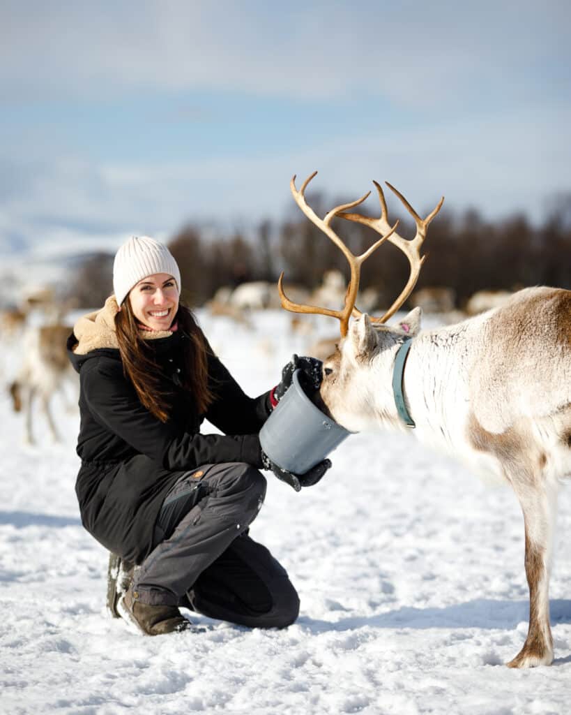 Sami Reindeer Feeding & Sami Culture