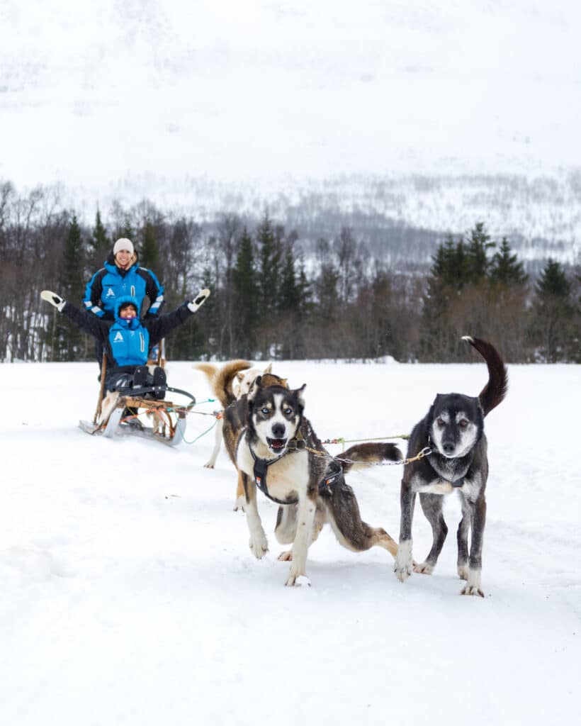 Husky Safari with Harkinn Husky