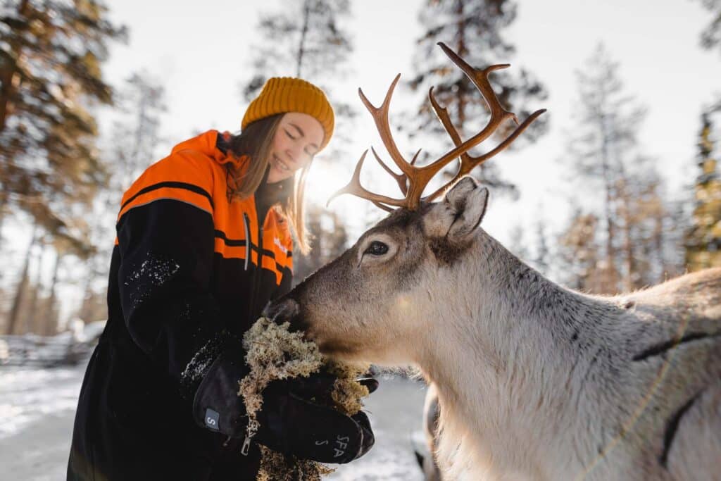 Santa and his reindeer