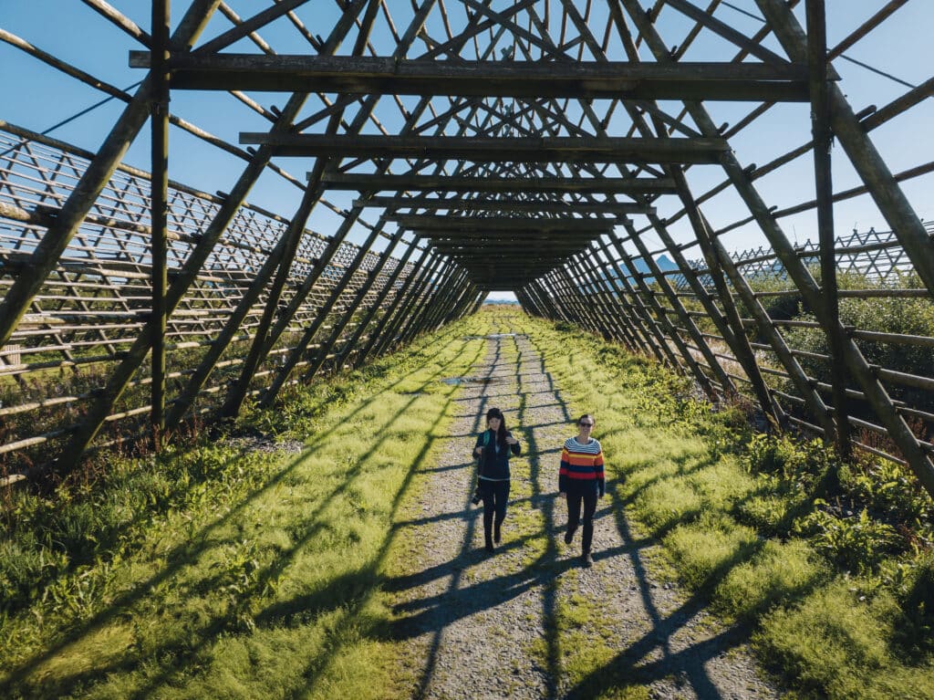 Travel by bus between Tromsø & Lofoten