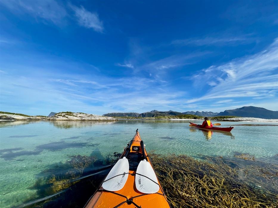 Half-day guided kayaking tour in Sommarøy