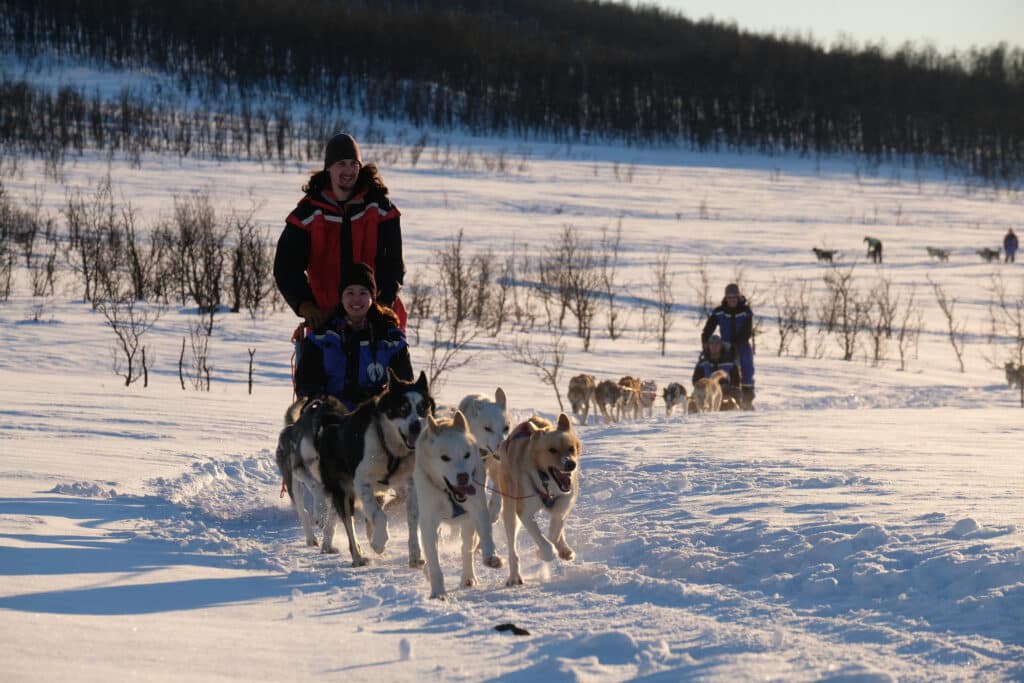 Tromsø Dog Sledding