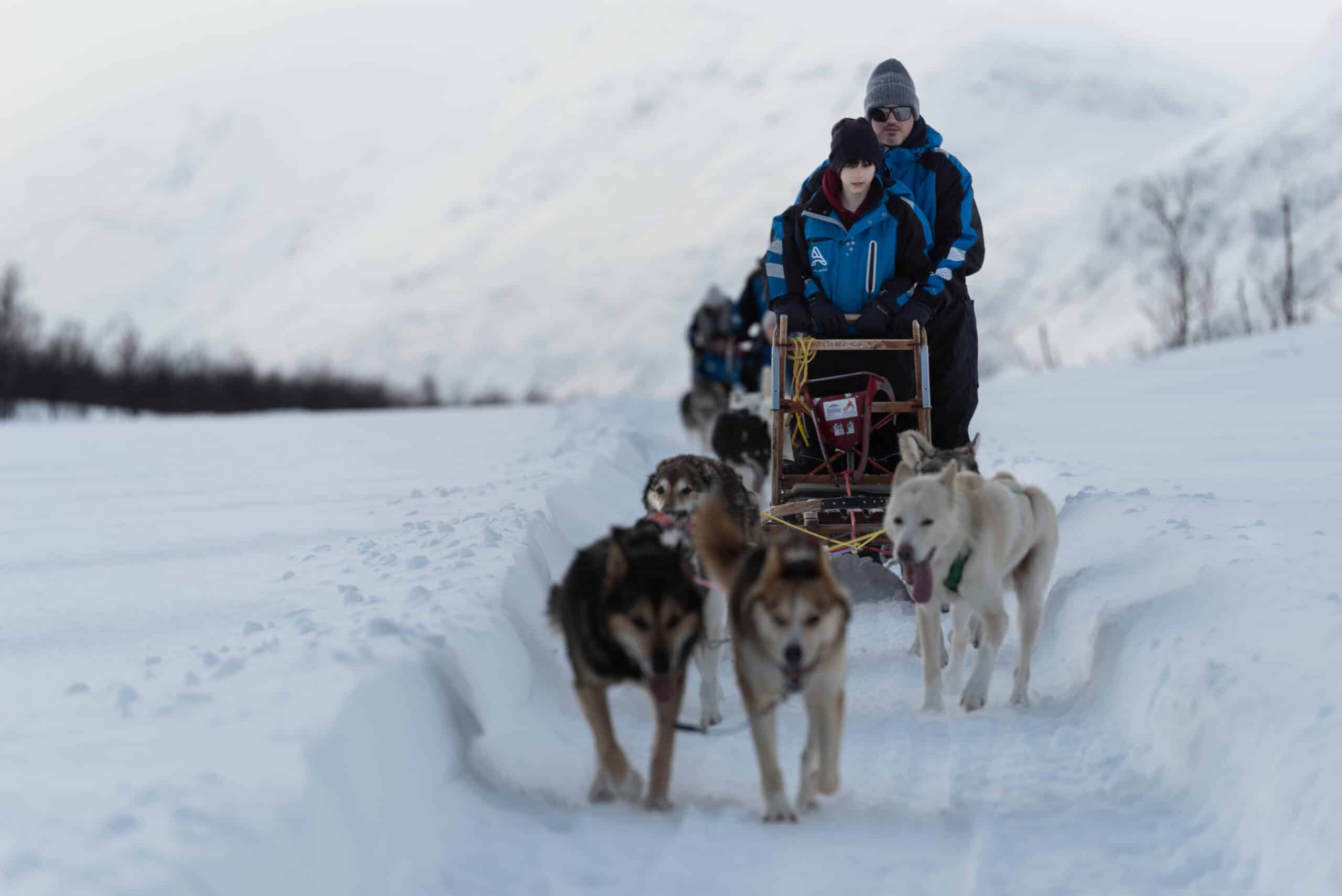 Tromsø Dog Sledding