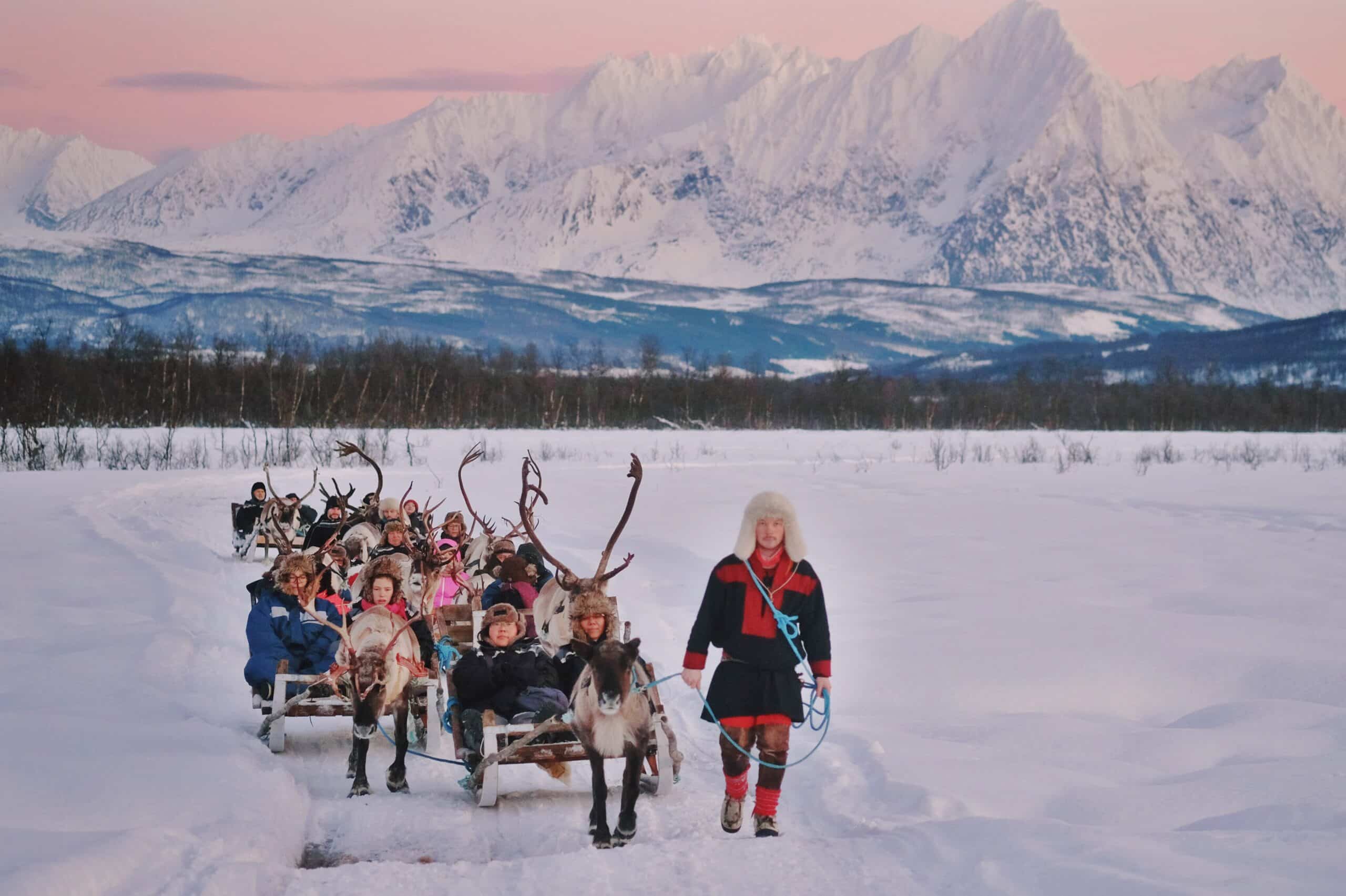 Reindeer Sledding and Sami Culture