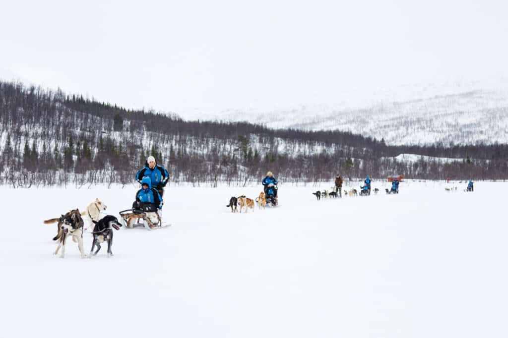 Huskies pulling sleds, with guests in thermal suits riding the sled during a dog sledding experience