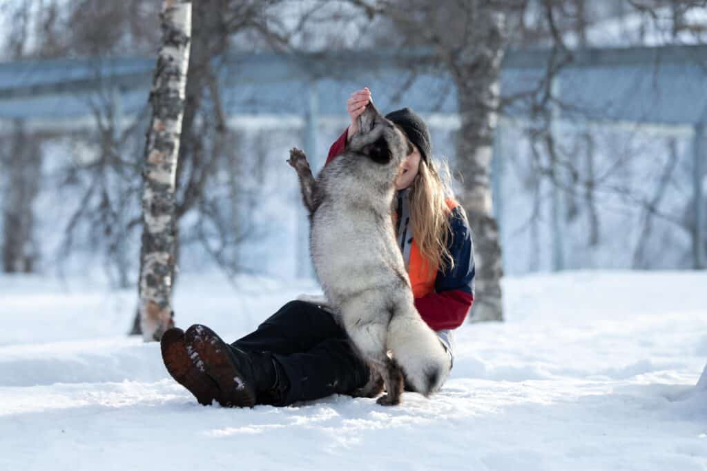 Entrance to Polar Park