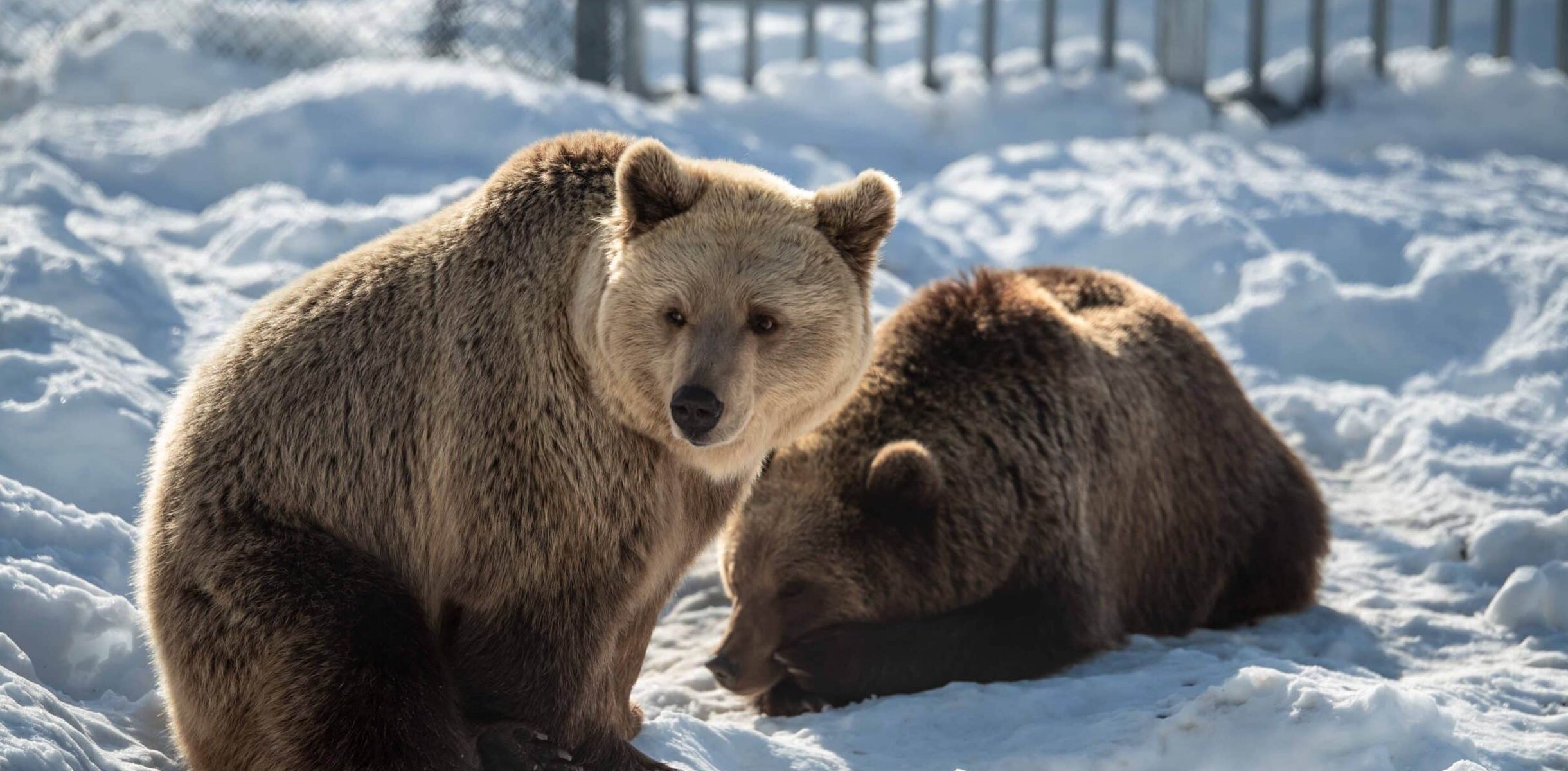 Polar Park entrance ticket Polar Park entrance ticket