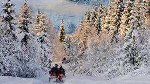 People riding snowmobiles through a snowy path, surrounded by covered-snow pine trees