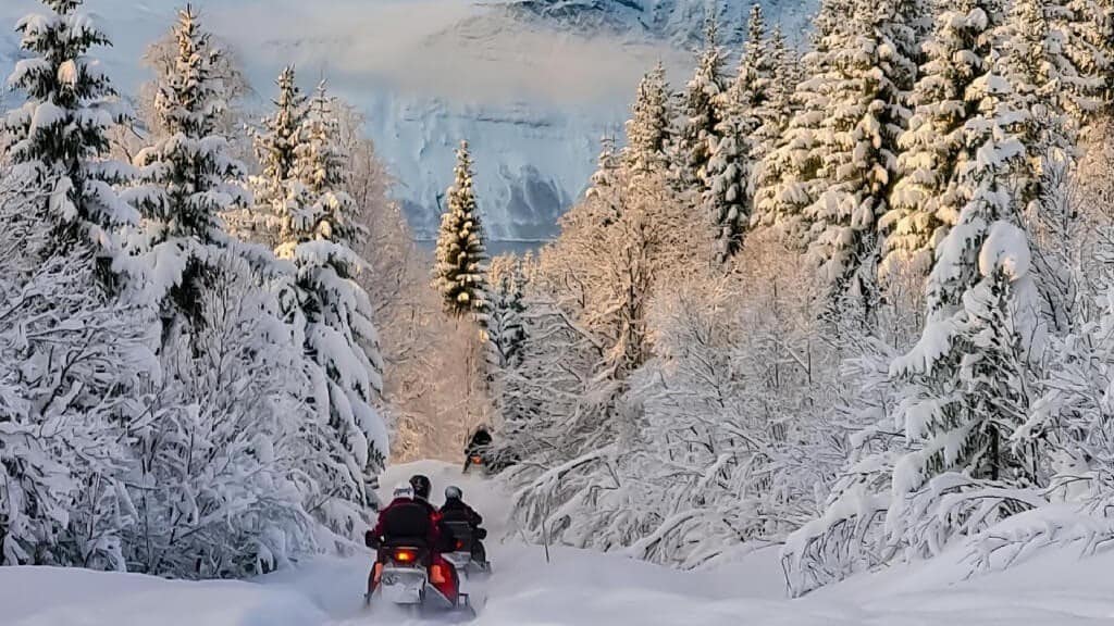 People riding snowmobiles through a snowy path, surrounded by covered-snow pine trees
