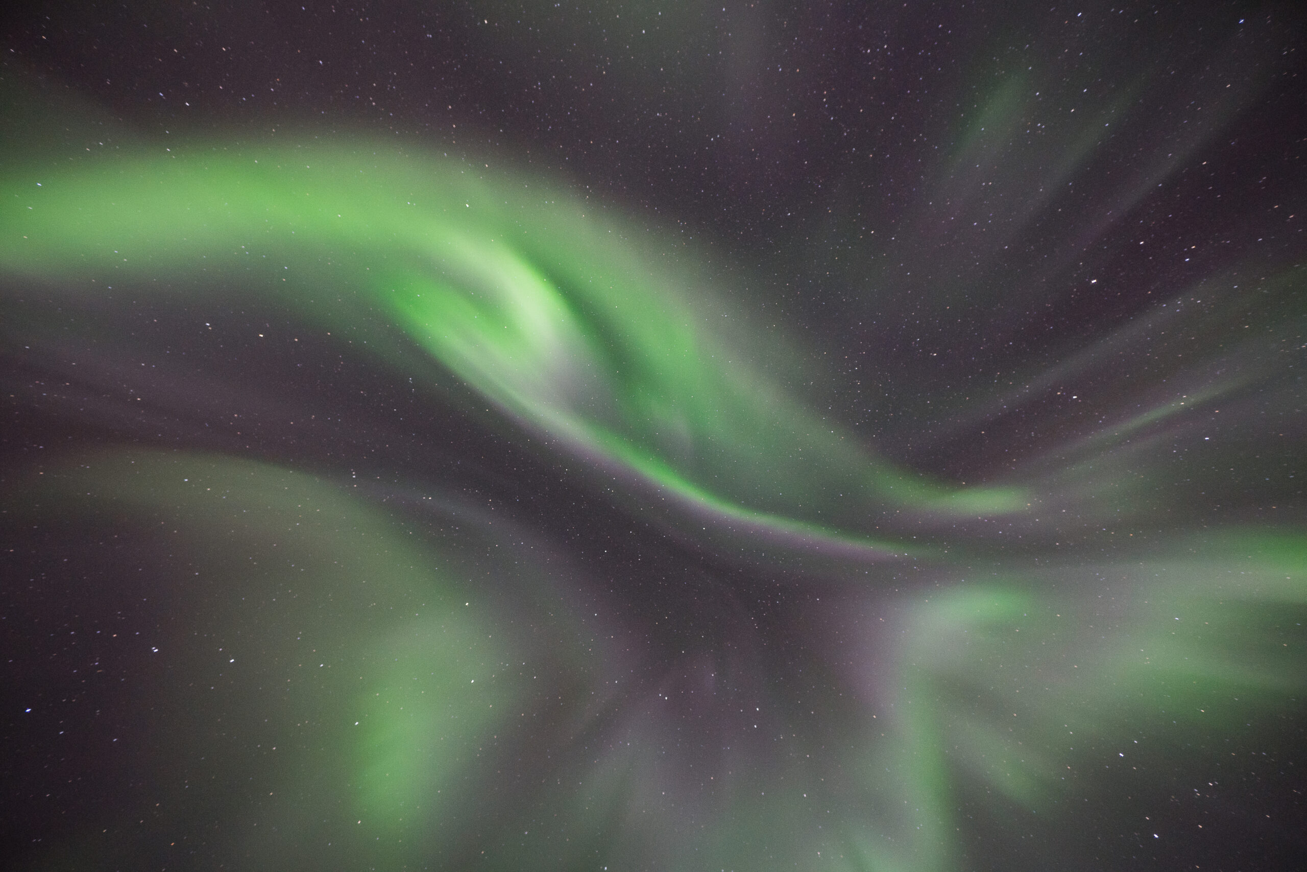 Green and purple northern lights glowing in a dark, starry night sky
