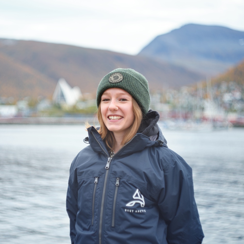 Amber guide Best Arctic