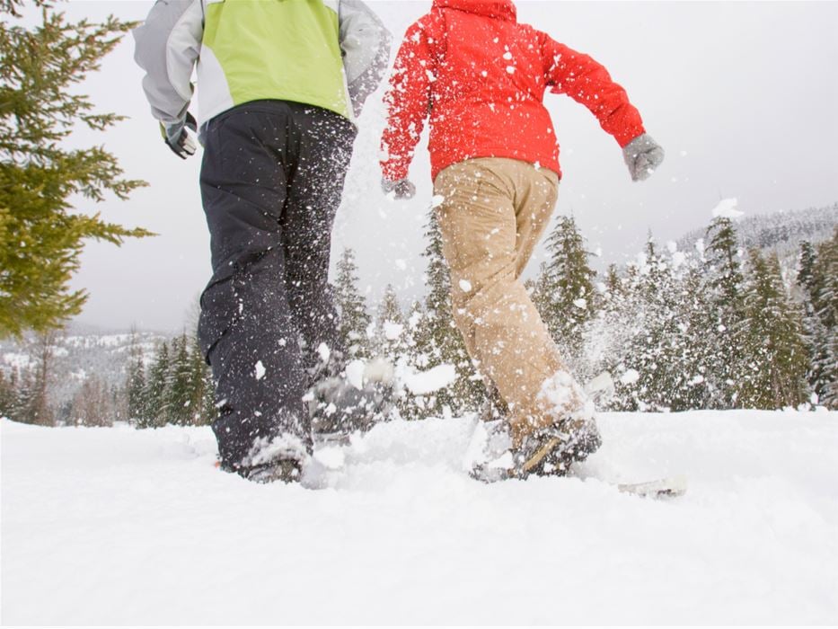 Arctic snowshoeing experience