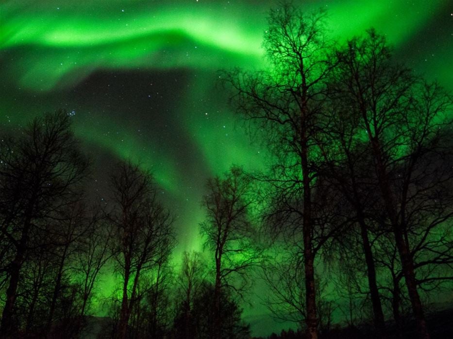 Northern Lights Hunting Experience