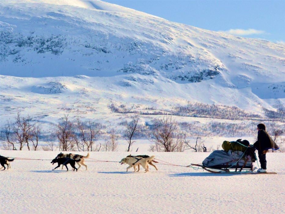 Arctic Dog Sledding