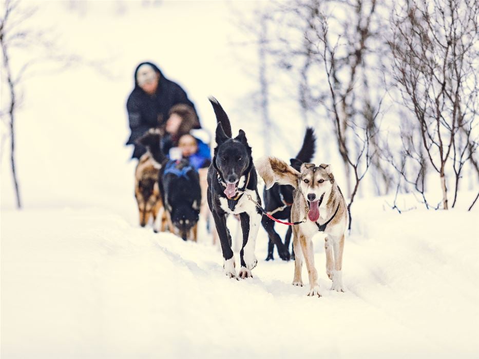 Best Arctic Pioneering environmental sustainability with ISO 14001