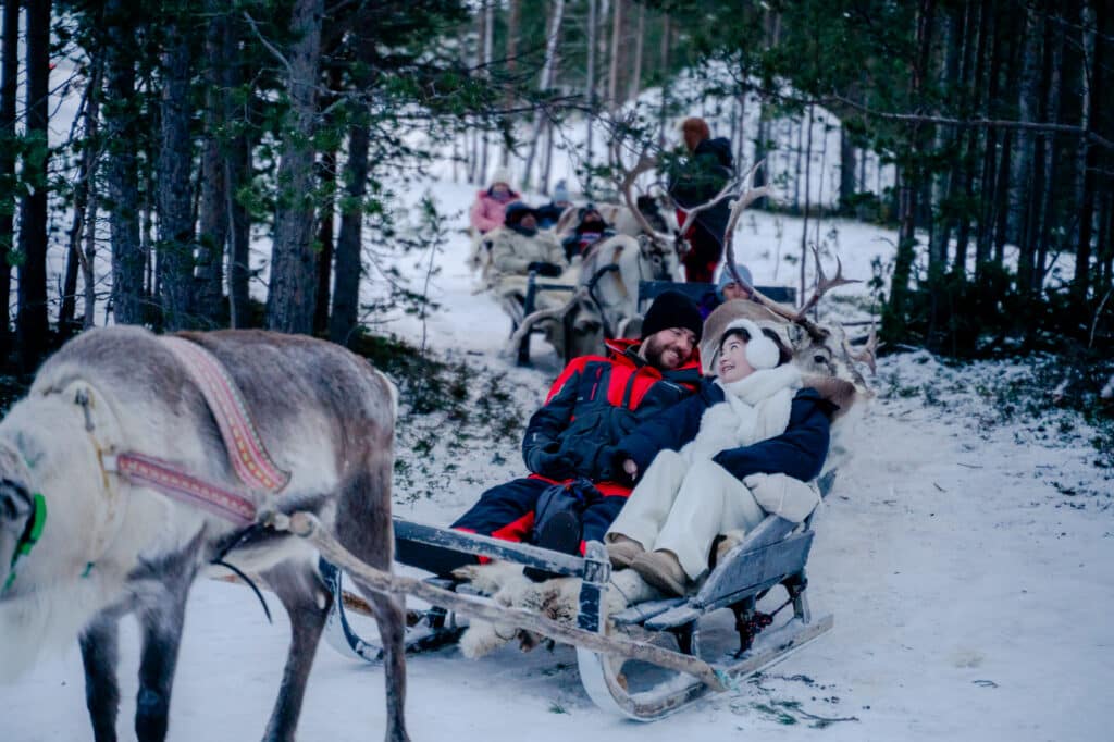 Reindeer Encounter & Sami Culture, with sledding