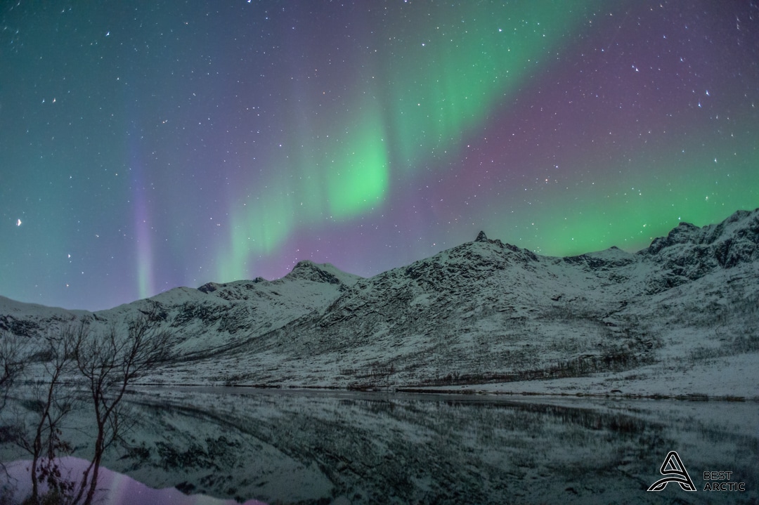What are the differences between an Aurora Safari Minibus and an Aurora Safari Camp tour, with Best Arctic?