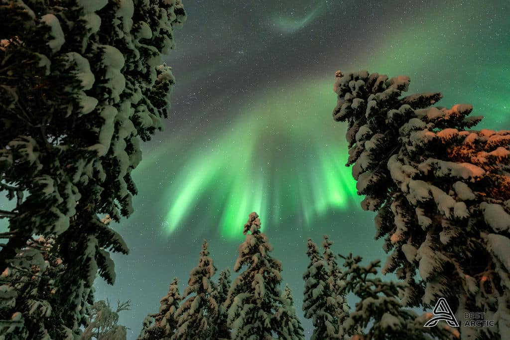 Was Sie im Dezember in Tromsø unternehmen können