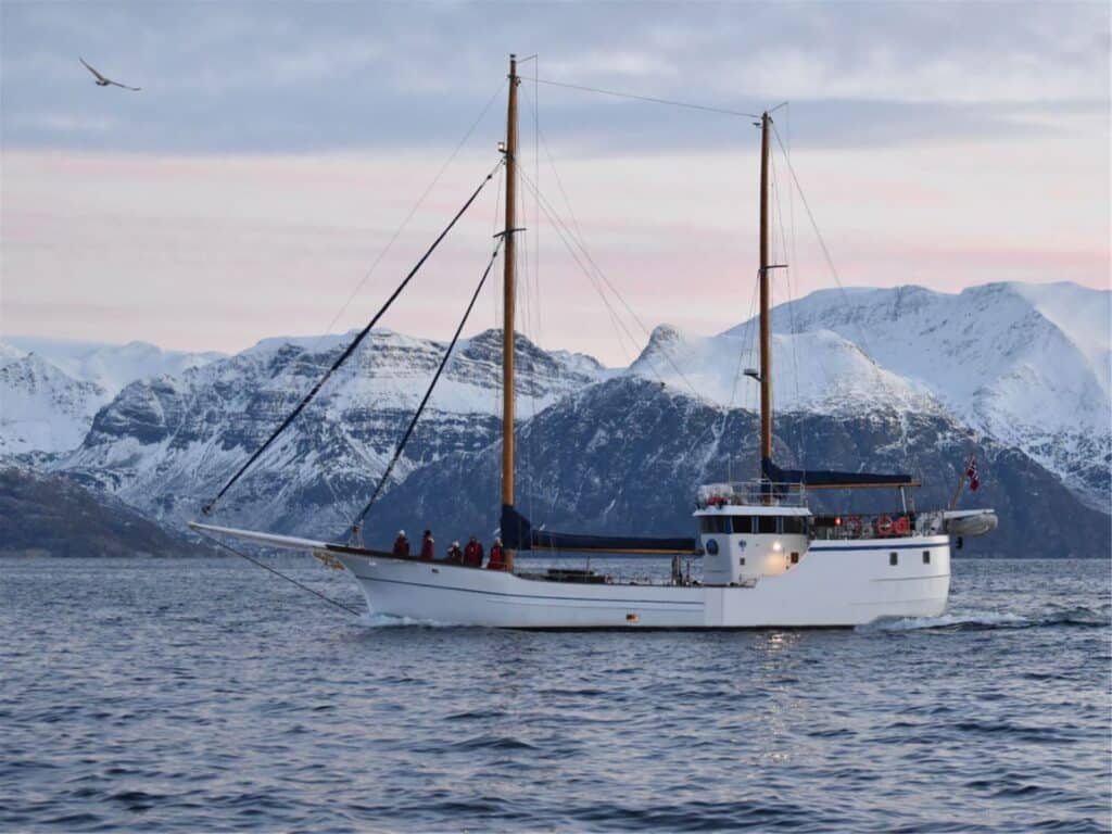 Tromsø Sea-to-Table Fishing Experience