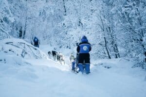 Dog Sledding with Carts vs snow sledding: What’s the difference?