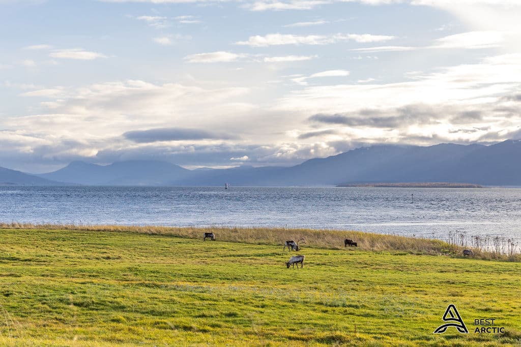 What to do in September in Tromsø during autumn in 2026
