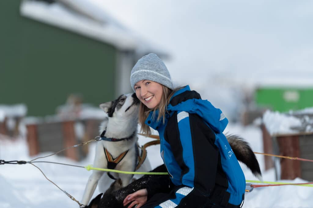 Easy Tromsø Dog Sledding Experience