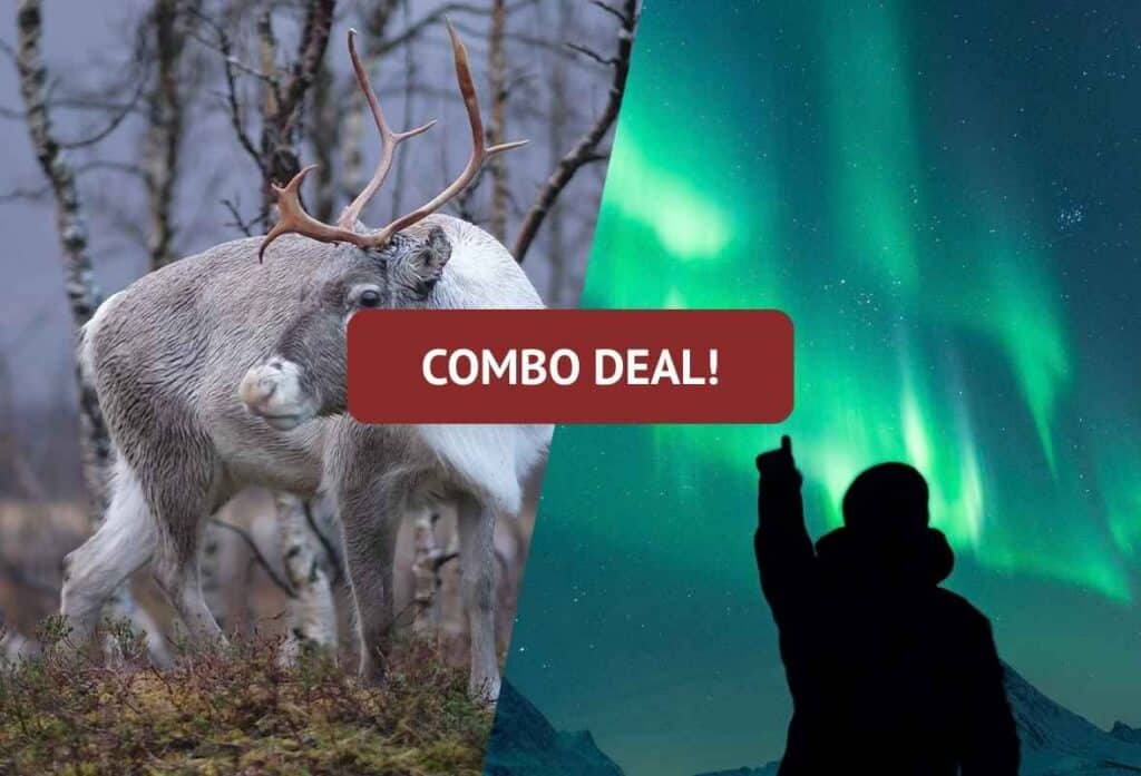 Autumn Reindeer & Northern Lights Combo