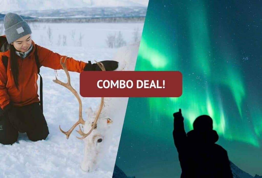 Winter Reindeer + Northern Light Combo