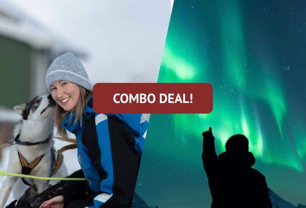 Dog Sledding & Northern Lights Combo
