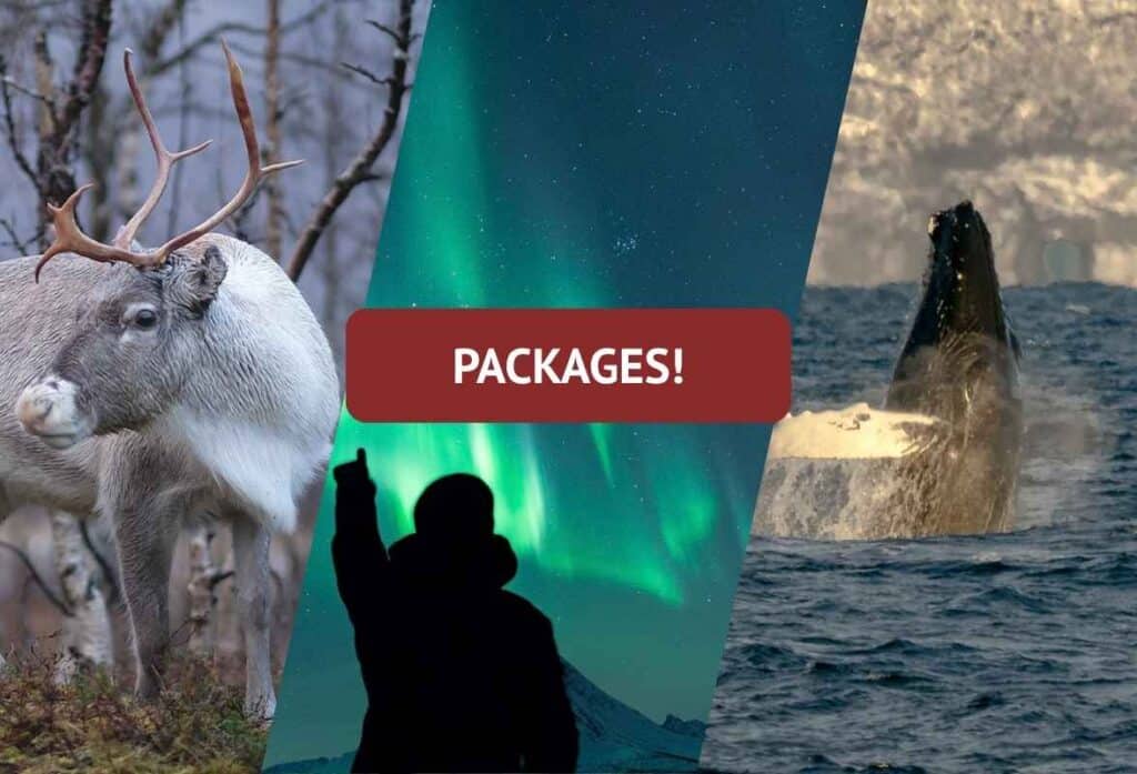 -20% – See all our packages