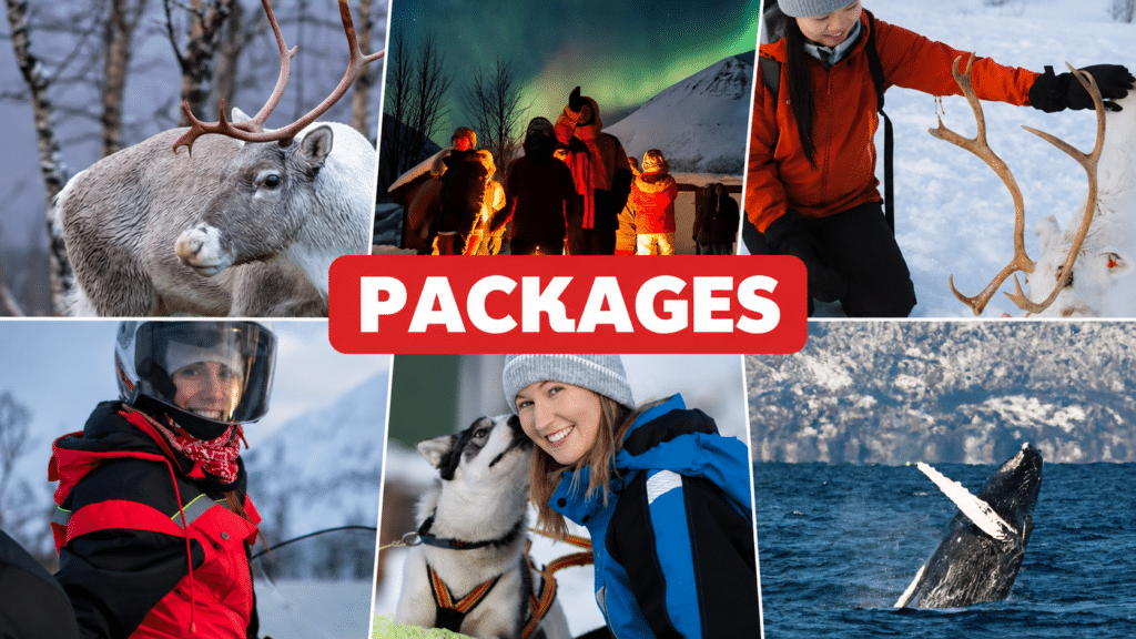 -20% – See all our packages